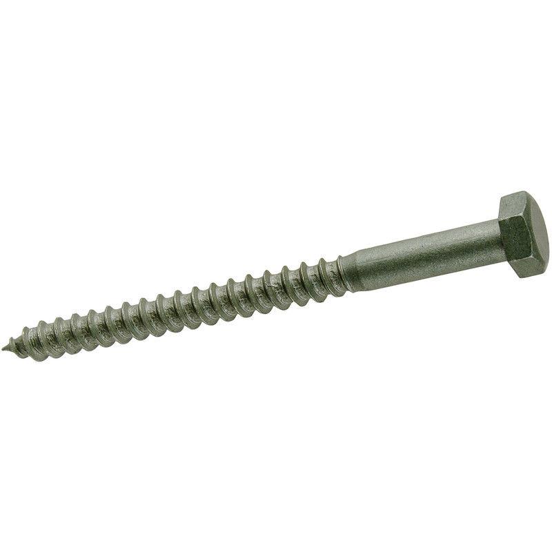 CBH Coach Screw 
