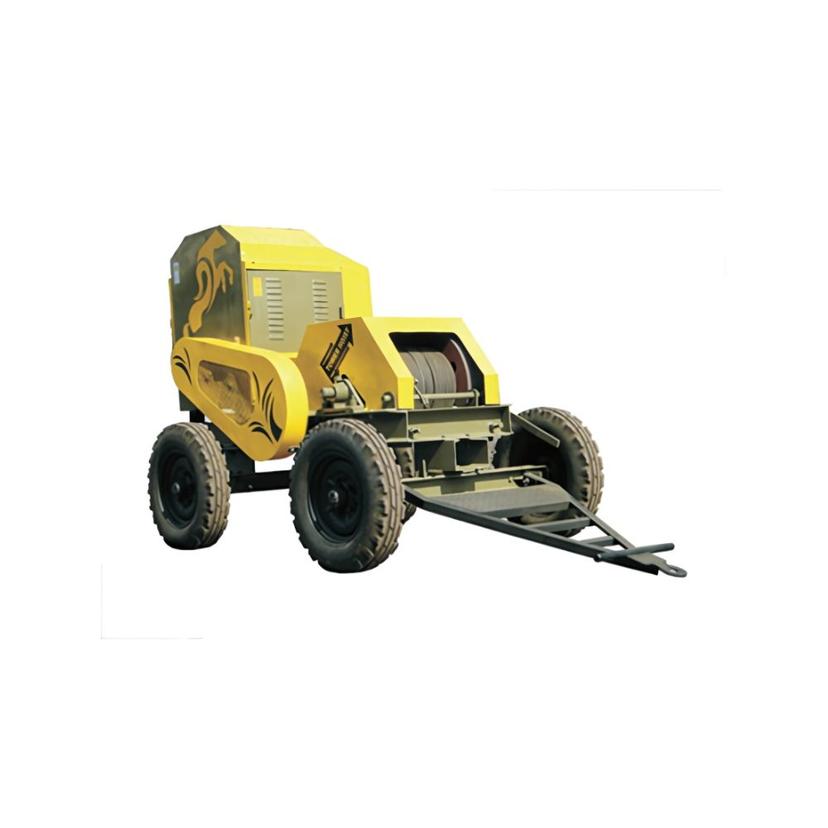 AE 60 FTS Tower Hoist