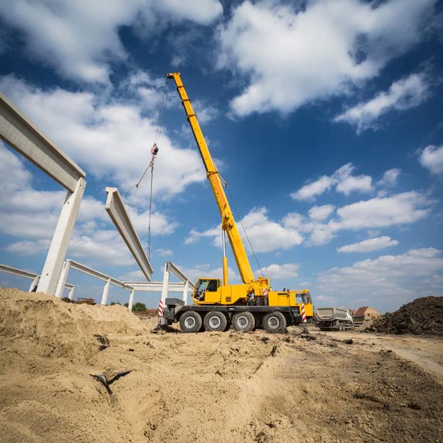 Crane