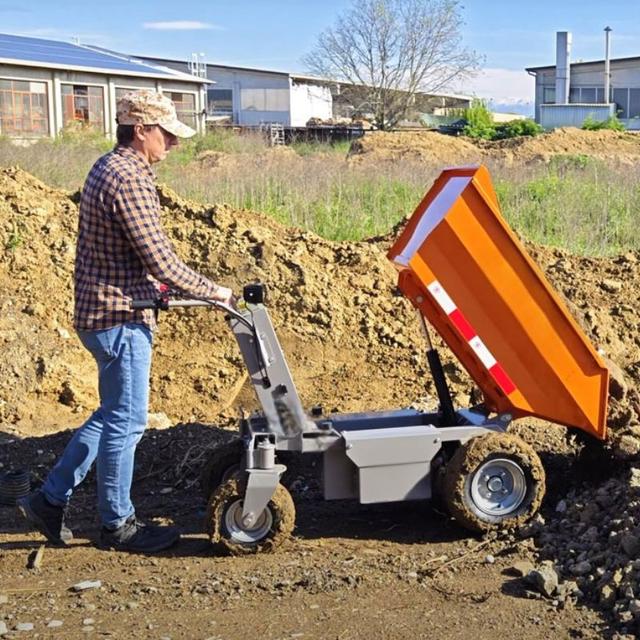 Mini Dumper